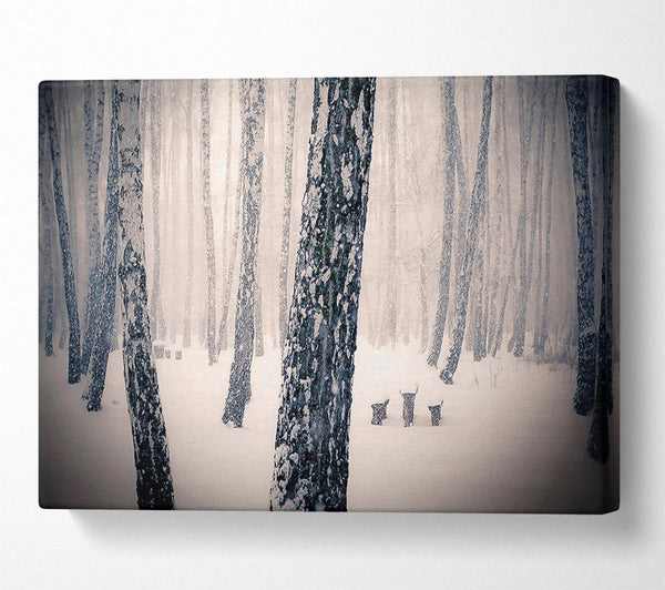 Forest Snowing