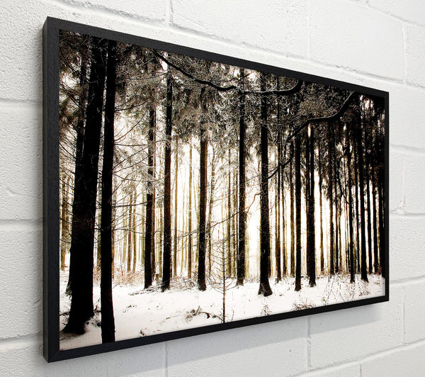 Winter Forest Snow Storm