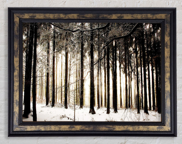 Winter Forest Snow Storm Framed Print