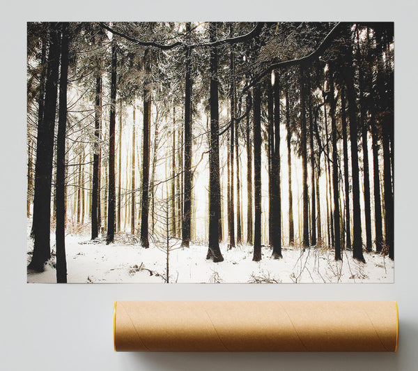 Winter Forest Snow Storm Print