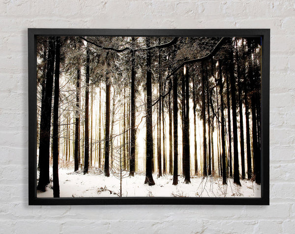 Winter Forest Snow Storm Framed Print