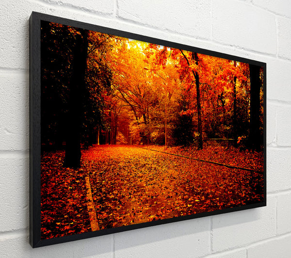 Fall In The Orange Forest