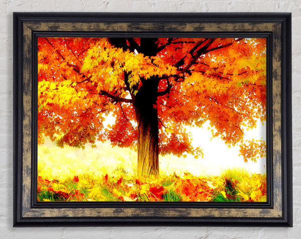 The Joy Of Autumn Framed Print