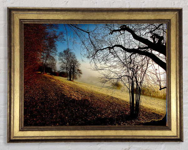 Autumn Foggy Morning Framed Print