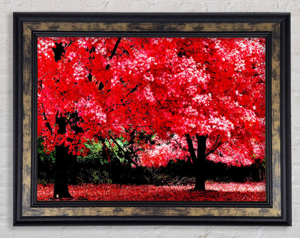 Pink Autumn Leaves Framed Print