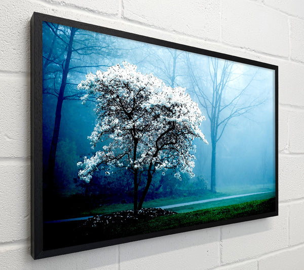 White Magnolia Tree