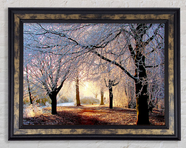 Beautiful Winter Light Framed Print