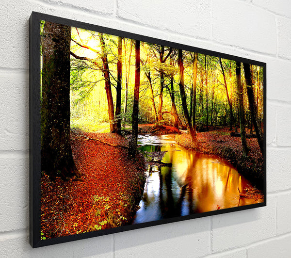 Impressive Autumn Stream