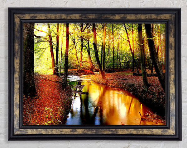 Impressive Autumn Stream Framed Print