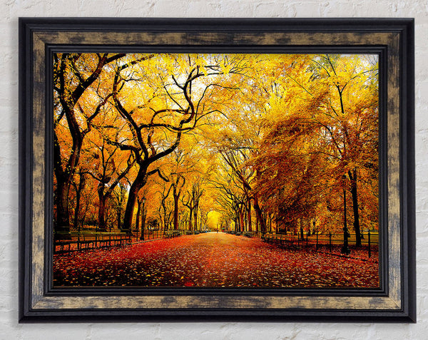 Wide Alley Framed Print