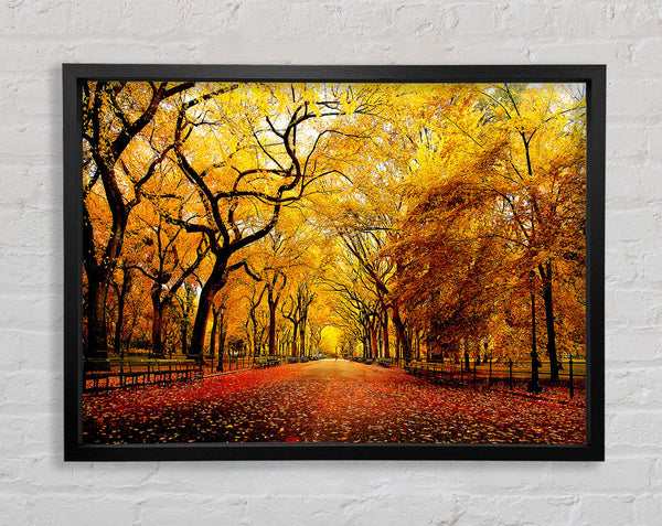 Wide Alley Framed Print