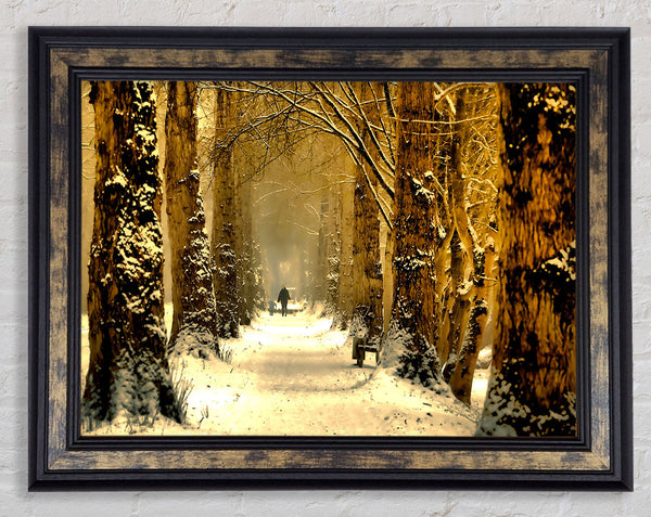 Beautiful Tree Passage Winter Framed Print