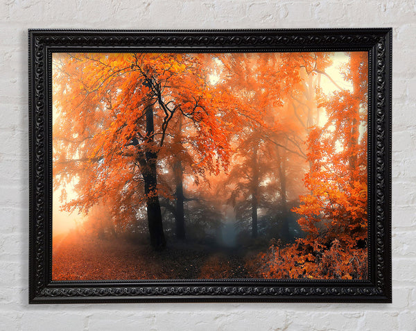 Autumn Orange Mist Framed Print