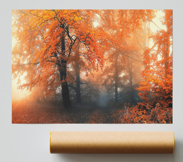 Autumn Orange Mist Giclee Print
