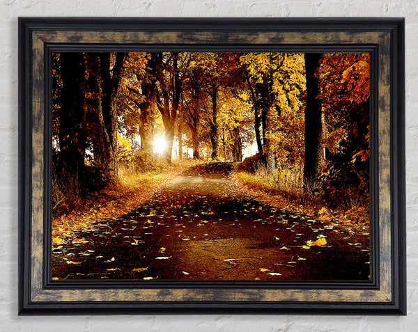 Autumn Golden Leaves Framed Print