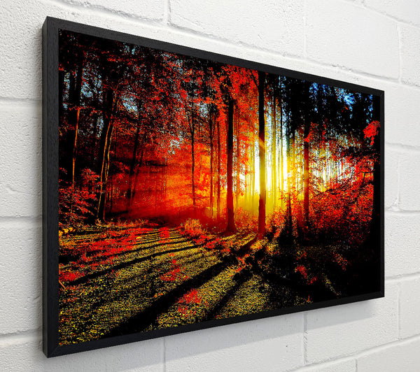 Red Forest
