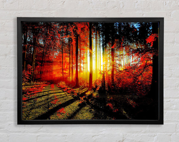 Roter Wald