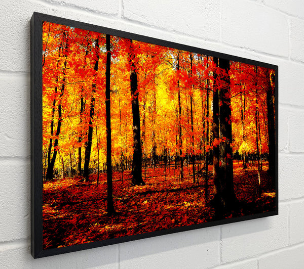 In The Depth Of The Orange Forest