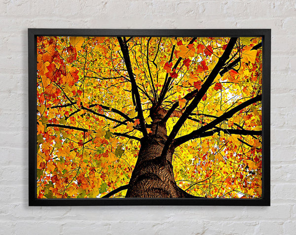 Gelber Herbstbaum