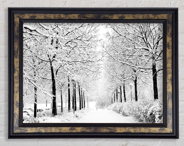 Winter In The Park Black And White Framed Print