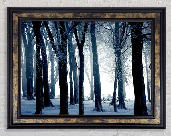 Cold Day Framed Print