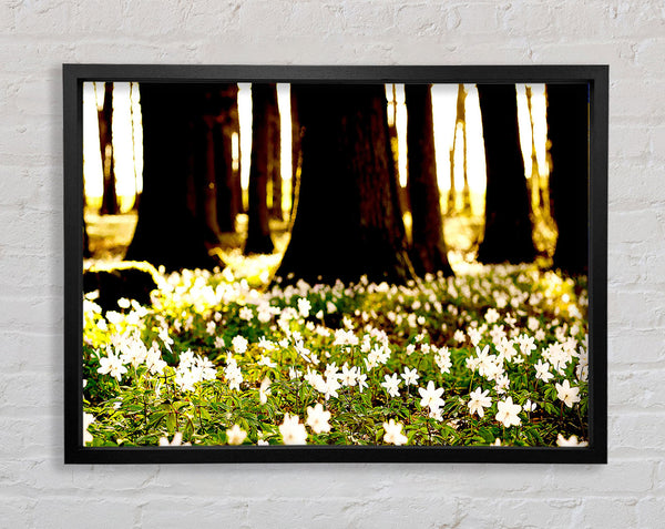 White Forest Flowers Framed Print