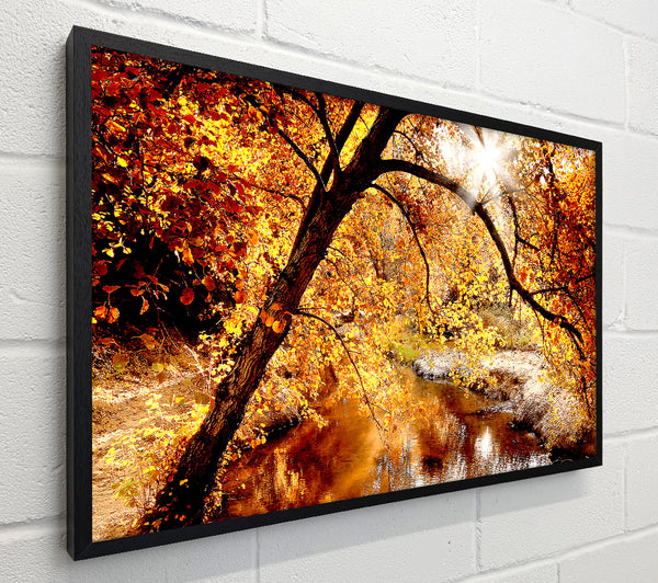Creek In The Autumn Forest