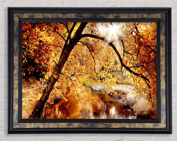 Creek In The Autumn Forest Framed Print