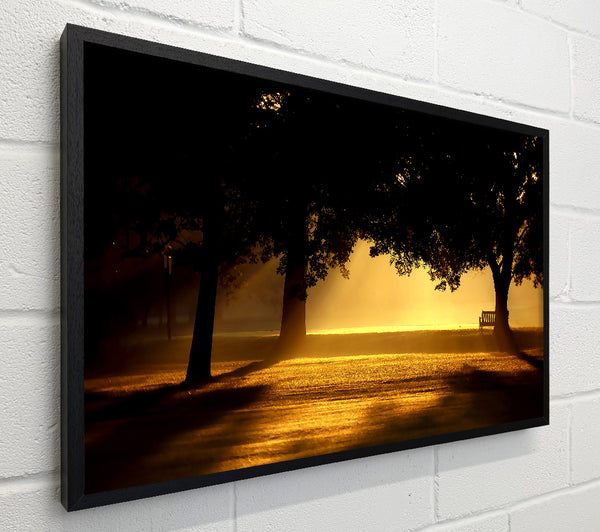 Beautiful Sunset Light