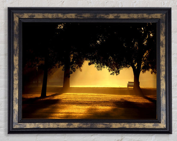 Beautiful Sunset Light Framed Print