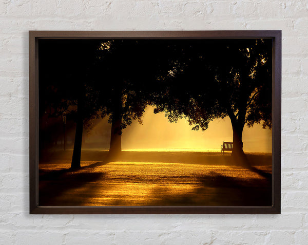 Beautiful Sunset Light Framed Print