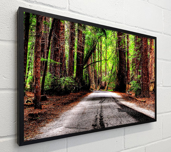 Green Forest Road