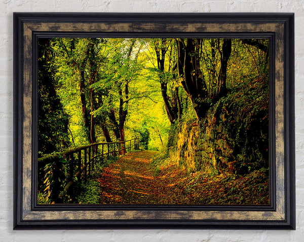 Forest Walking Path Framed Print