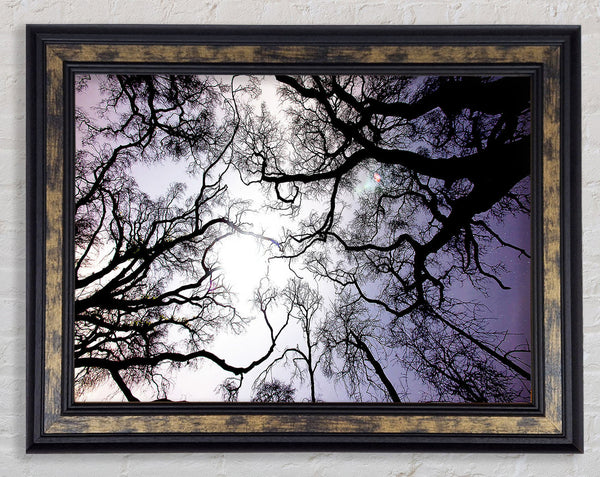 Reaching Arms Framed Print