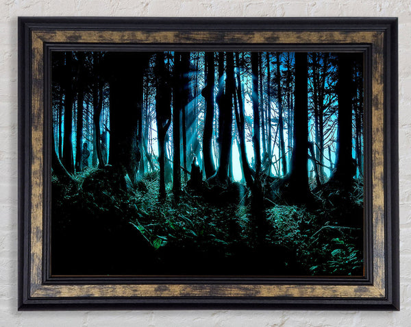 Mysterious Forest Framed Print