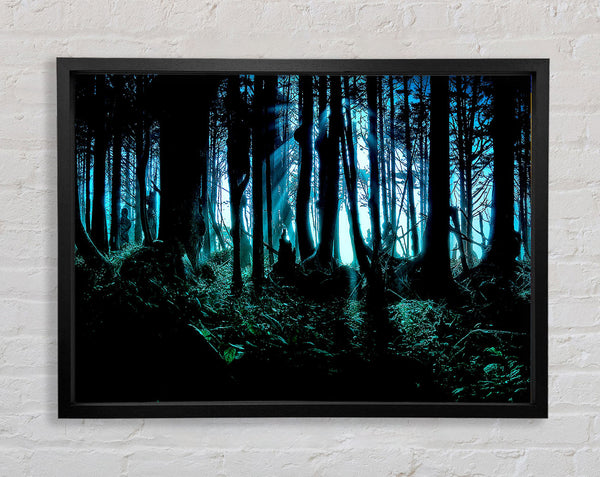Mysterious Forest Framed Print