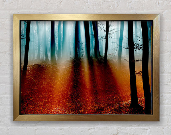 Autumn Forest Blue Sun Beams Framed Print