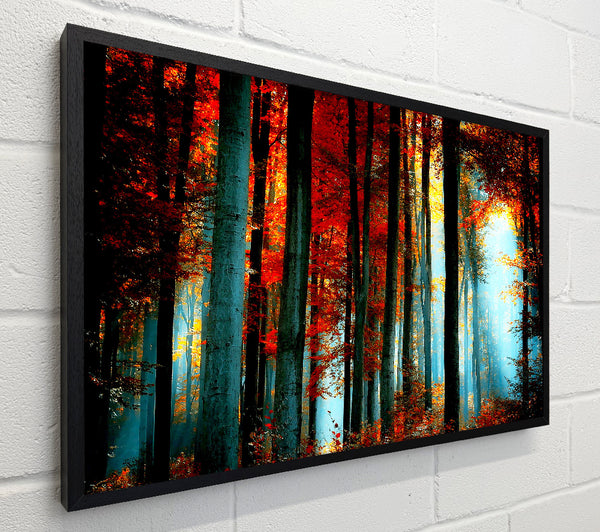 Blue Light Through The Orange Woodland