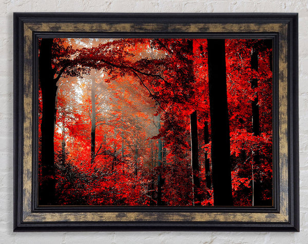 Red Forest Delight Framed Print