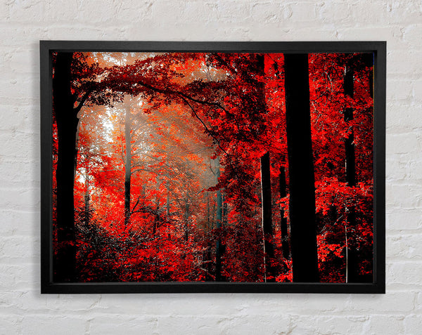 Red Forest Delight