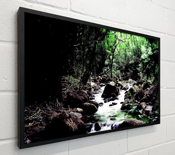 Rainforest Creek