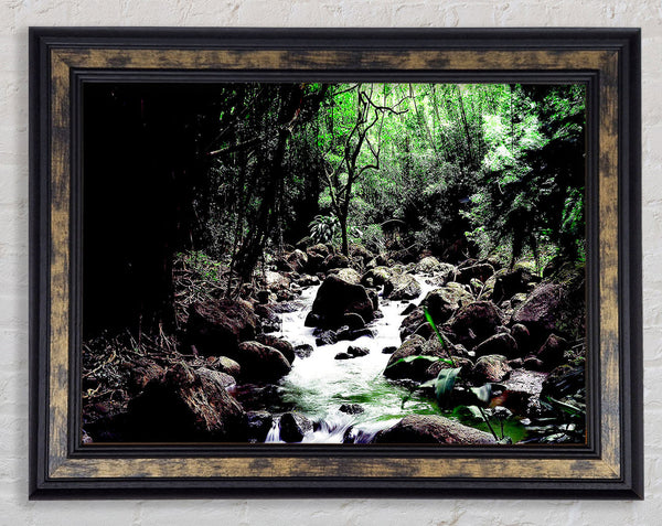 Rainforest Creek Framed Print