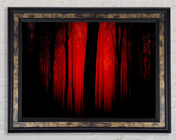 Blood Red Forest Framed Print