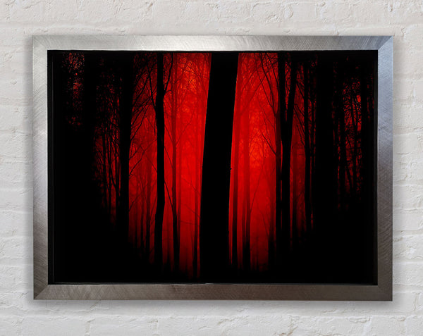 Blood Red Forest