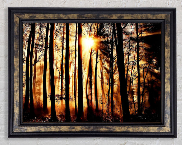 Steaming Light Rays Framed Print