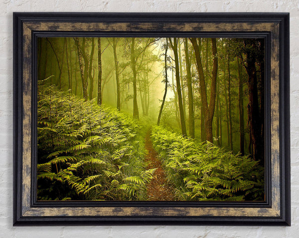 Green Forest Path Framed Print