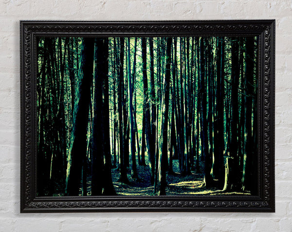 Emerald Green Woodland Framed Print