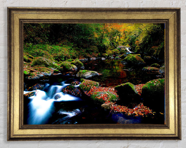 Autumn Forest River Framed Print