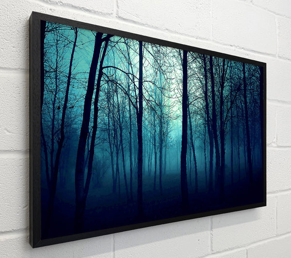Dark Forest