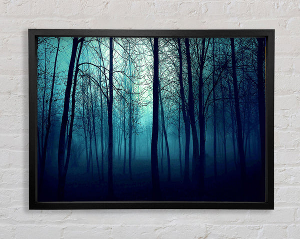 Dark Forest Framed Print